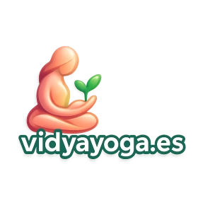 vidyayoga.es