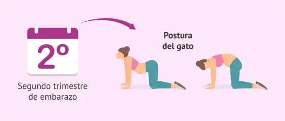 Yoga para embarazadas en 25 minutos y adaptable por trimestre