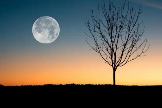 Qué significa espiritualmente la luna creciente y cómo aprovecharla